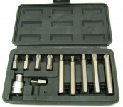 Screwdriver Bit Set 11 pcs.