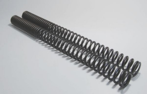 Wirth fork springs for F 650 GS from year 2000 with ABE