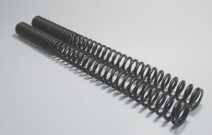 Wirth fork springs for F 800 GS from year 08 with ABE