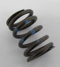 Valve spring for all BMW R2V models