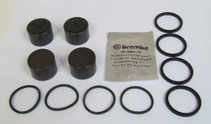 Set of brake pistons with seals BMW R 1200 LC Modelle