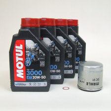 Maintenance package BMW R 1150/1100/850 GS 10.000km Motul 20W-50