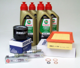 Wartungspaket passend für BMW 1250 GS/R/RS/RT 20.000km Castrol