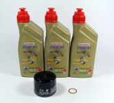 Wartungspaket passend für BMW F 700 / 800 GS und F 650 GS (2008+) 10.000km-Paket Castrol 10W-40