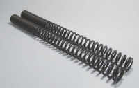Wirth fork springs for F 650 GS from year 2000 with ABE
