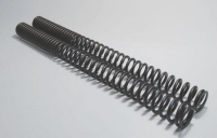 Wirth fork springs for F 800 GS from year 08 with ABE