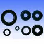 Oil Seal Kit for F650  93-99