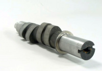 Nockenwelle asymmetrisch 308°
